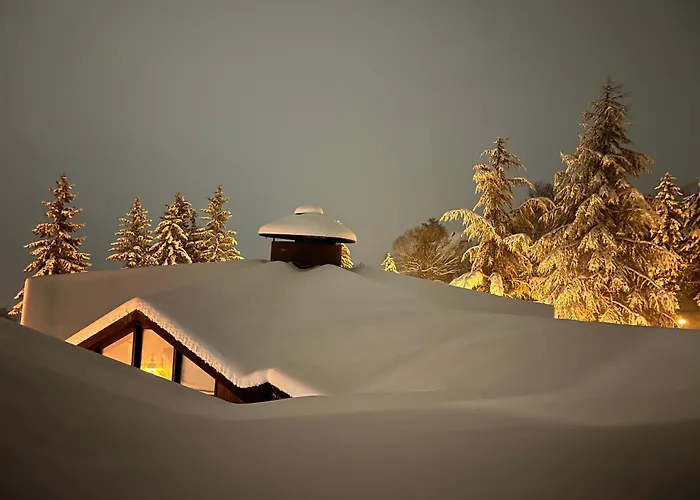 Haven Sun Serena Daire